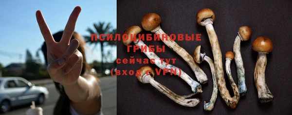 шишки Беломорск