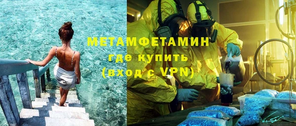 шишки Беломорск