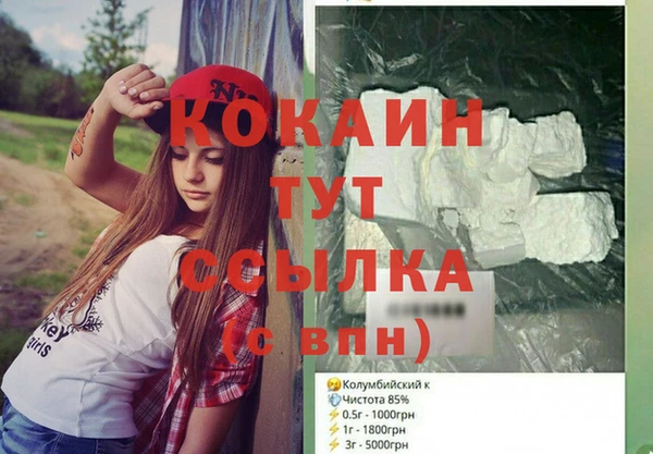 шишки Беломорск