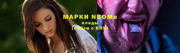 шишки Беломорск