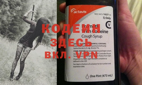 шишки Беломорск