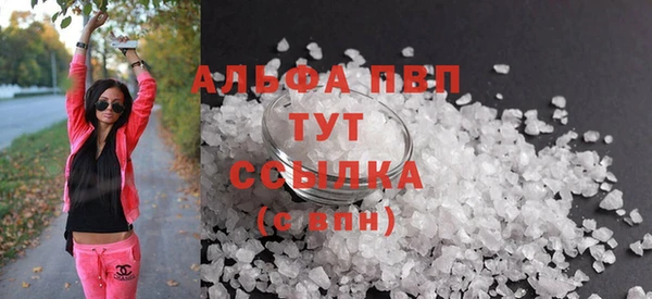 шишки Беломорск