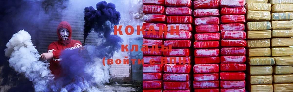 шишки Беломорск