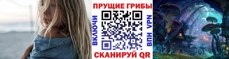что такое наркотик  Купино  Псилоцибиновые грибы Magic Shrooms 